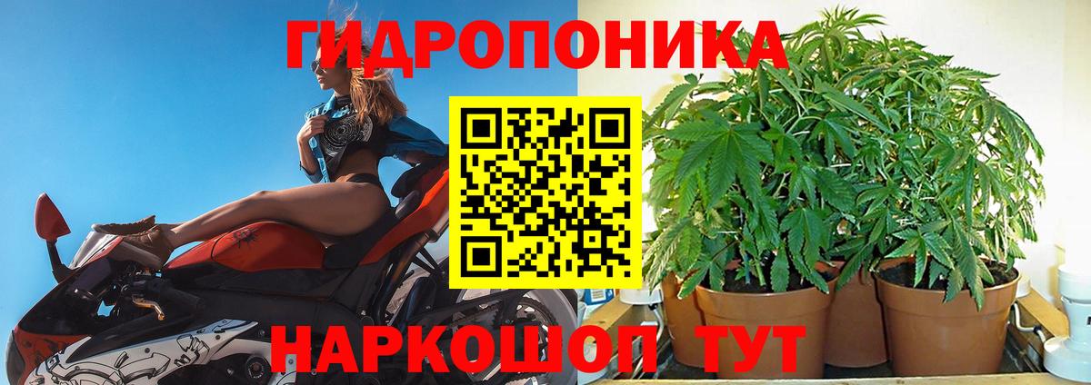 Бошки марихуана конопля Бугуруслан